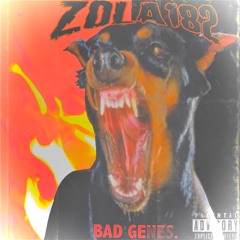 B.D.S (PROD.ZOLA182 X DRTYWHTVNS)