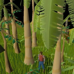 Runescape By The Sea
