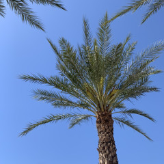 FEELIN IT ft. JayDiamond (Prod. Basje P)