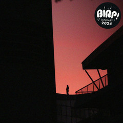 Indie Pop / Rock Playlist | BIRP! January 2024