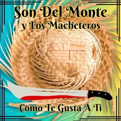 " Ella No Baila Sola " Son Del Monte y Los Macheteros