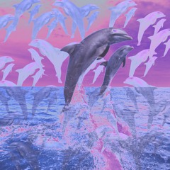 Dolphins Love Liquid.