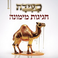 ‎⁨Saida celebrates Mimouna 19.4.25 (live set)