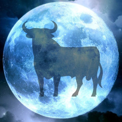 Moon In Taurus (prod. Goyxrd & XanGang)