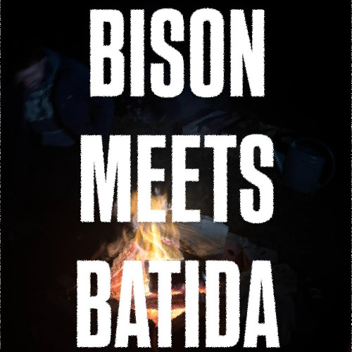 DO YOU WANNA EDIT BATIDA BISON