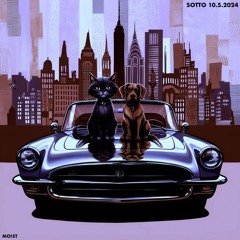 SOTTO 10.5.2024
