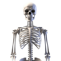 𐌃𐌄𐌀𐌃𐌀𐌔𐌔