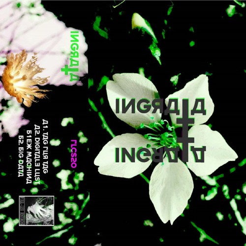 Premiere: Ingrata - Ex Machina [Fill-Lex Records]