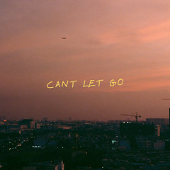 CAN'T LET GO *sped-up remix*