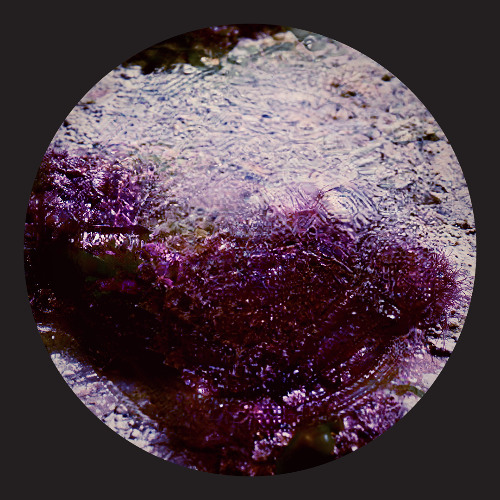 What Lies Beyond 08: Meridian.r