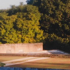 Slowly (prod. W I L L O W)