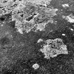 thorns mixtape 021_december