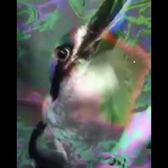 TOKYO MACHINE & Guy Arthur - Get Up x Flames (sicMJ58 TrapBird mixmash)