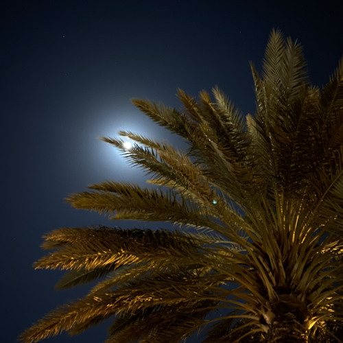 سورة الزمر | ‎⁨عبدالبديع غيلان⁩