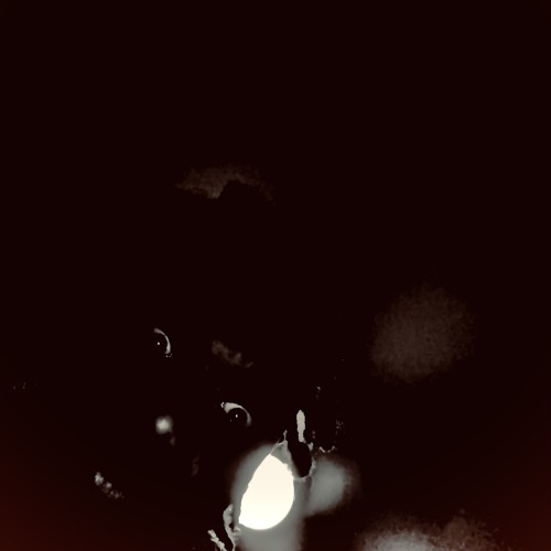 4L