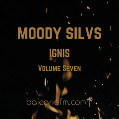 Ignis Volume 7