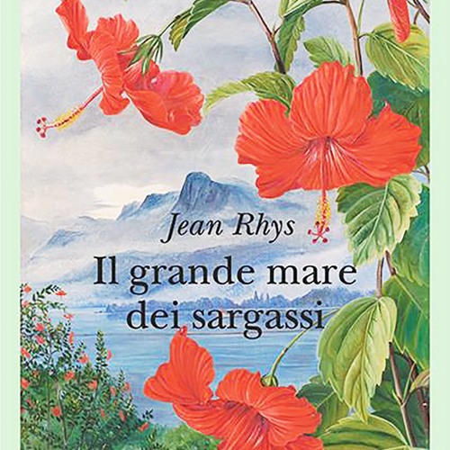 Stream [Read] Online Il grande mare dei sargassi BY : Jean Rhys by