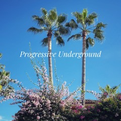 Dani-C - Progressive Underground @ Proton Radio 117 [Feb] 2025 Sc Edition