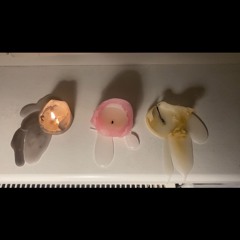 fermented wax, implosive sacks stain flowers for Orchestra