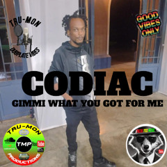 CODIAC  - Gimi What You Got For Me / TruMon Dubplate