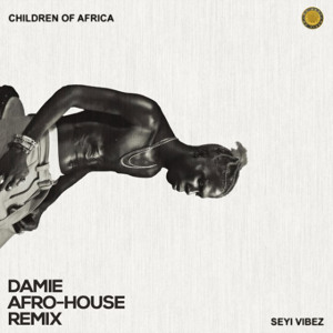 Happy Song - Seyi Vibez (Damie Afrohouse Remix)