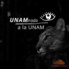 Cuarto programa de UNAMirada a la UNAM