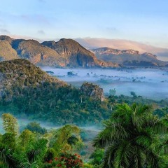 Olivia Rodrigo - Deja Vu (LUNE Take)