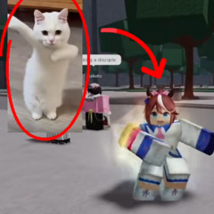 HACHiMi #TT #HAYAKUNARU