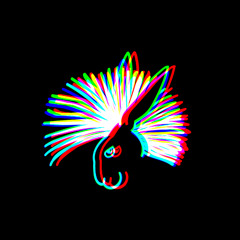 Echo Pulse