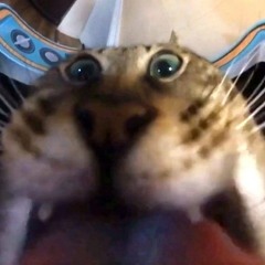Skaterboy 2