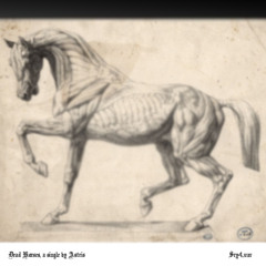 Dead Horses