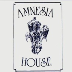 Amnesia House - Live Event Audio