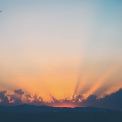 Lofi network-Sunset Vibes