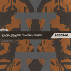 Premiere: Harry Diamond - I Can't Hide It ft. Afnan Prince