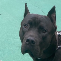 LTR MogeeMo Present NeighBorHooD Gossip.m4a