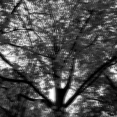 Berlin Echoes