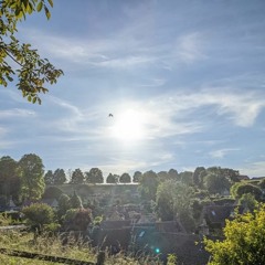 Off Road / They Don't Seem So High (2018)