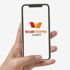 TRUE MONEY WALLET VO แพนเค้ก ( SPOT )