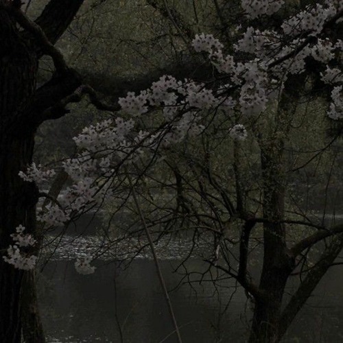 Yves Tumor - Limerence (instrumental & super slowed)