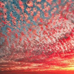 Luke Combs - Hurricane Cover