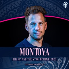Spiegeltentfestival 2023 Afterparty!