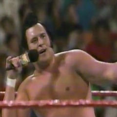 GFA Live #189: WWF Superstars 08-05-1989