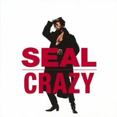 Seal - Crazy (Logan Dataspirit Mix)
