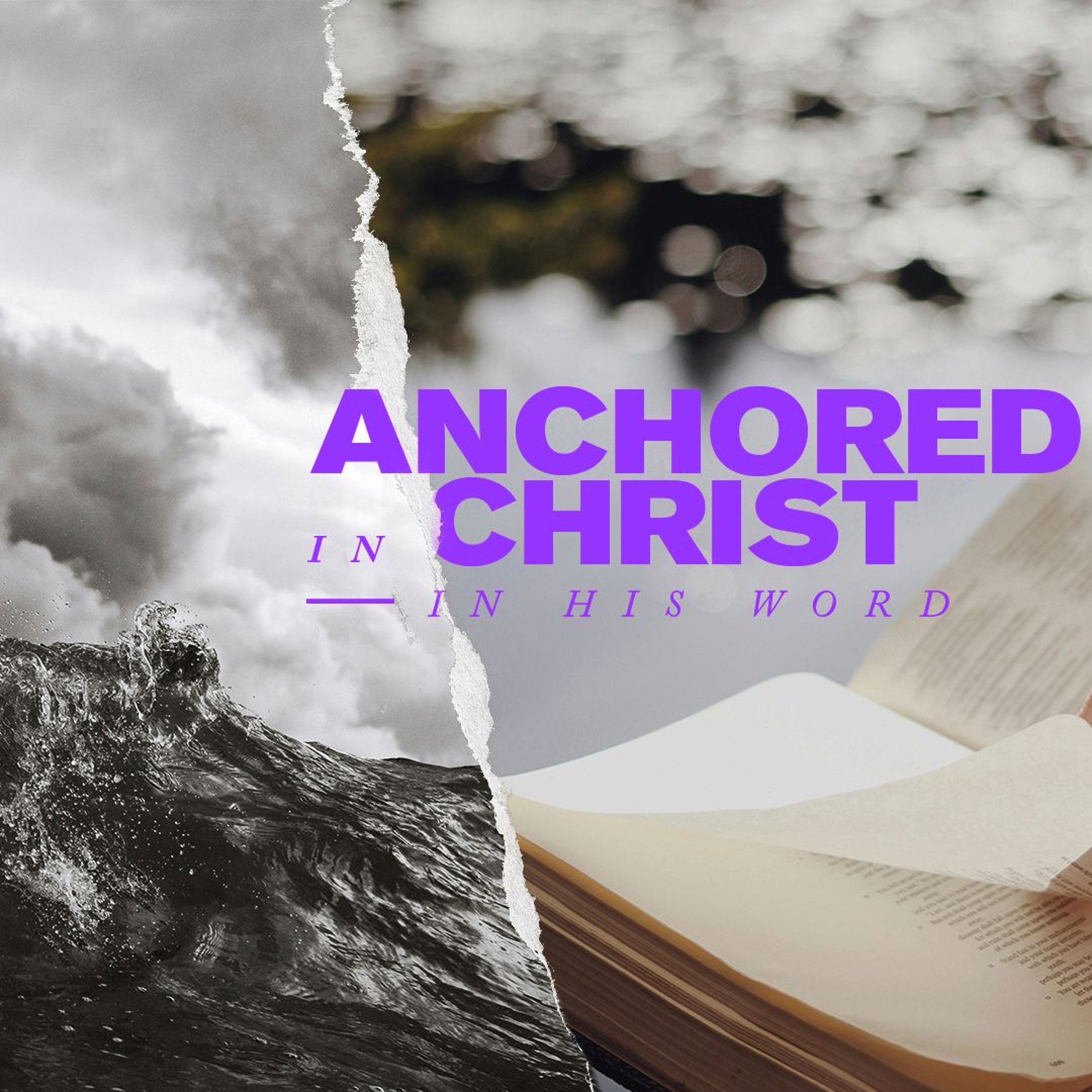 24/09/08 | Anchored In His Word | Dave Schnitter episode artwork