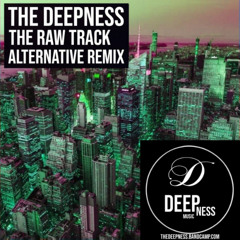 THE RAW TRACK (ALTERNATIVE REMIX)