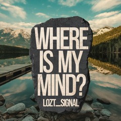 Where Is My Mind