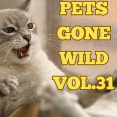 Pets Gone Wild Vol.31