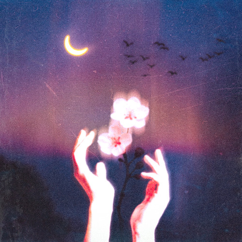 MAYBE - MISSING NO. ft Taneki