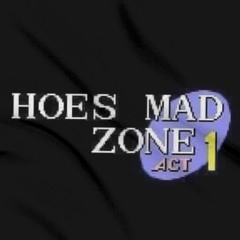 Hoes Mad Remix