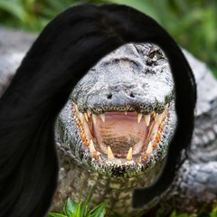 Skrillex x 12th Planet & Chip Tha Ripper - On A Plane x Interior Crocodile Alligator